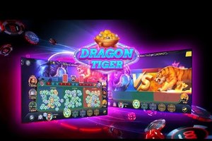 How to Play Dragon Vs Tiger Apk